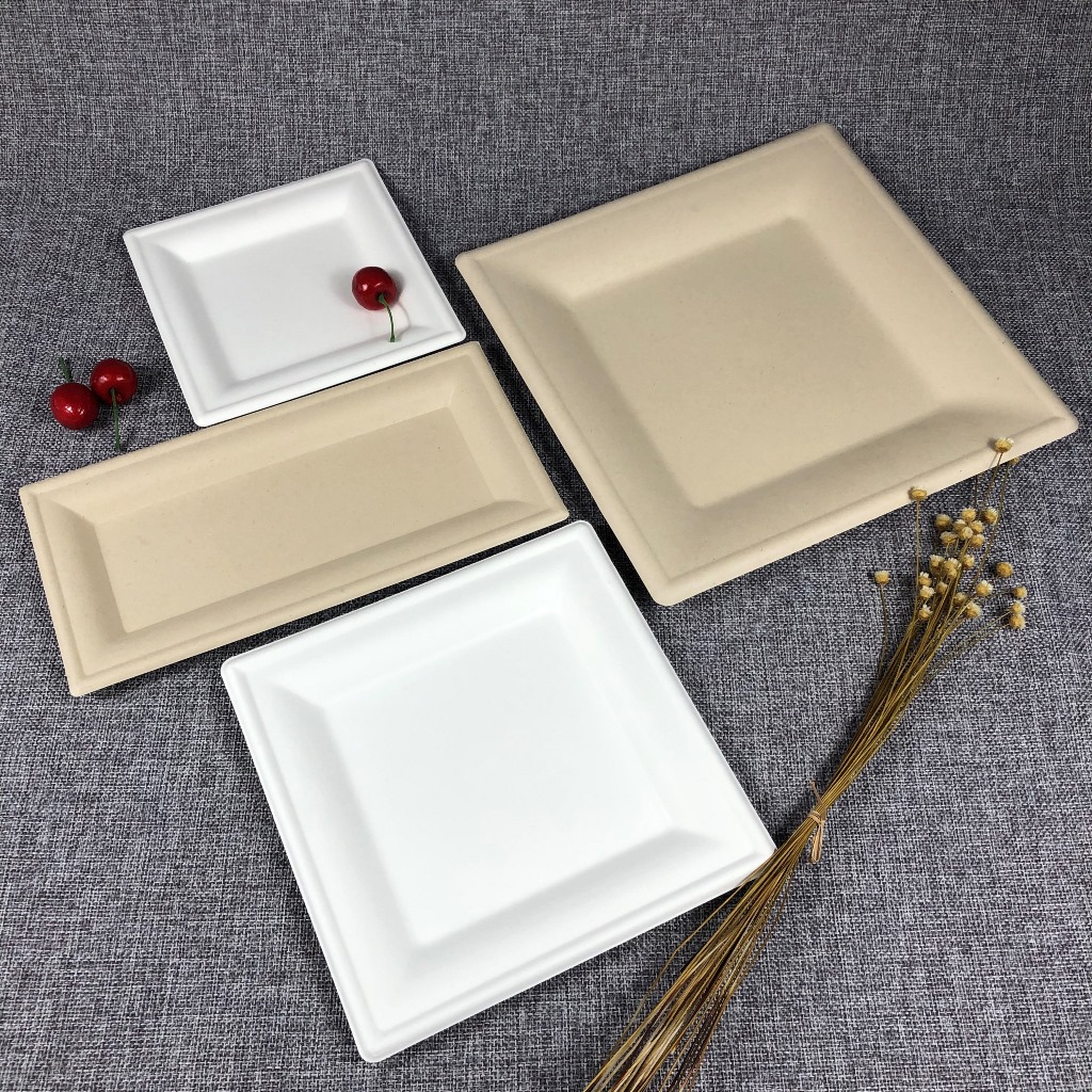 Sugar cane paper pulp dinner party restaurant new biodegradables platos bagasse disposable plate